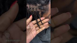 Loc repair 200 locs no retwist [upl. by Kerrie]