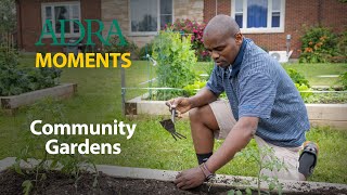 Community Gardens [upl. by Airebma]