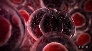 Tumor Cell Signalling medical animation by Geometric Medical [upl. by Learsi]