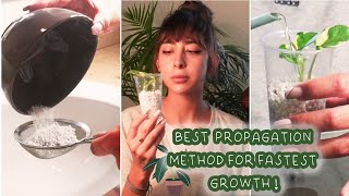 Propagating Houseplants in PERLITE  How to feat Pothos Demonstration [upl. by Tiat]