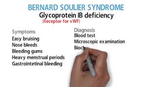 Bernard Soulier Syndrome [upl. by Cassandre]