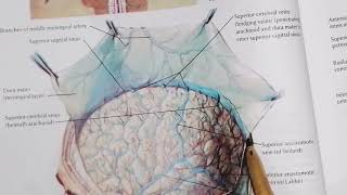 Dural Venous Sinuses part 1 very easy to understand [upl. by Schou]