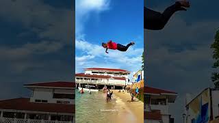 Funny dolphin jump into Zanzibar beach [upl. by Akcired]