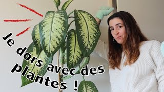 Jai mis des plantes dans ma chambre et alors  vlog [upl. by Jenny210]