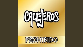 Prohibido [upl. by Kcirdderf852]