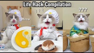 Puffs Ultimate Life Hack Compilation Ingenious Tricks Unveiled 🛠️ [upl. by Jann934]