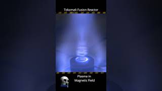 ☢️ Tokamak Fusion Reactor [upl. by Wind]