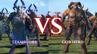 WARHAMMER III Total War  Tzaangors VS Gor Herd [upl. by Akelam]