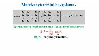 17F Matrisa6 [upl. by Olecram186]