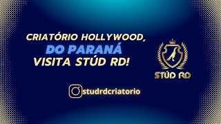 Criatório Hollywood do Paraná visita Stud Rd [upl. by Jarlathus]