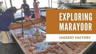 MESSA GI TAG  Marayoor Jaggery Industry Kerala [upl. by Delaryd]