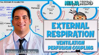 Respiratory  External Respiration Ventilation Perfusion Coupling [upl. by Ellohcin806]