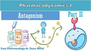 Pharmacodynamic part 2 antagonism [upl. by Aneehc452]