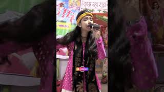 মধুর গান 🎸🎵 song bauldance banglamusic dance folkbaul baulgaan love folkmusic baulfolksong [upl. by Moyna]