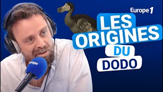 Les origines du dodo avec David CastelloLopes [upl. by Meirrak]