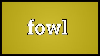 Fowl Meaning [upl. by Clovis]