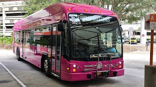 LYNX Onboard 2023 Gillig BRT Plus CNG 40 392423 on Link 311 Full Ride to Disney Springs [upl. by Elma]