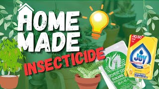 How to make a homemade insecticide for plants and vegetables using vinegar and dishwashing liquid [upl. by Airuam]