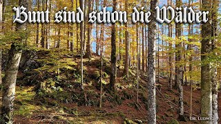 Bunt sind schon die Wälder German folk songEnglish translation [upl. by Ferguson]