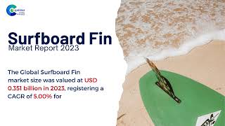 Surfboard Fin Market Report 2023  Forecast Market Size amp Growth [upl. by Tihor]