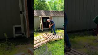 Reclaimed pallet wood for our chicken coop project homesteadlife frugalliving chickencoop pallet [upl. by Gracie]