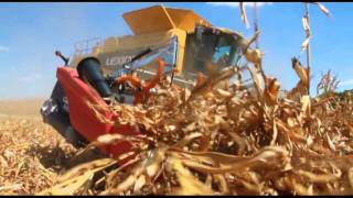 Geringhoff Rota Disc Elite harvesting in down corn [upl. by Oxford]