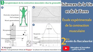 Etude expérimentale de la contraction musculaire 2Bac SVT2Bac Sc Phy [upl. by Nethsa]