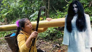 Single mother in danger in the forest  Digging up giant yam from underground to sell [upl. by Nycila376]