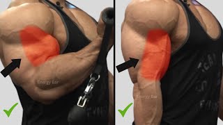 Top Biceps Exercises That Make Biceps Faster [upl. by Cissy741]