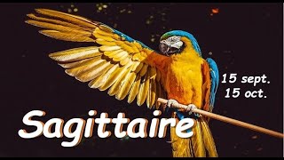 ♐️ SAGITTAIRE 🐎  15 septembre au 15 octobre 2022  votre destin sapproche de vous soyez prêt [upl. by Tedd]