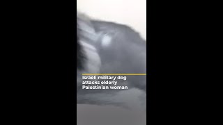 Israeli military dog attacks elderly Palestinian woman  AJshorts [upl. by Aldos498]