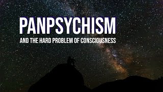 Panpsychism amp the Hard Problem of Consciousness [upl. by Riannon926]