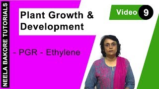 Plant Growth amp Development  NEET  PGR  Ethylene  Neela Bakore Tutorials [upl. by Landes756]