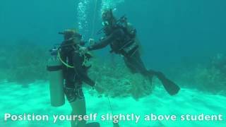 PADI CESA Exercise  Open Water [upl. by Anal743]