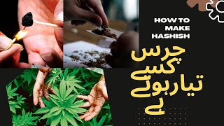 Original chars in Pakistan tirah maidan  Pure chars in the world  How to make hashish chars [upl. by Yelnek584]