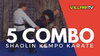 5 Combination  Shaolin Kempo Karate  Grandmaster Villari [upl. by Dodge940]