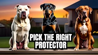 Family Guard Dog Comparison Rottweiler vs Pitbull vs Rhodesian Ridgeback [upl. by Annunciata]