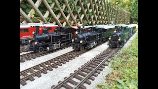 LGB Gartenbahn im Volldampf [upl. by Kingsley369]