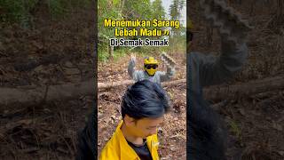 Menemukan Sarang Lebah Madu di Semak Semak kebun Part 1 bolang lebah kebun [upl. by Kane]