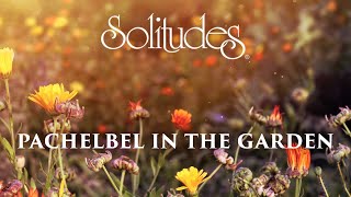 Dan Gibson’s Solitudes  Serenade  Pachelbel in the Garden [upl. by Ellersick57]