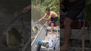 pesca fishing pescaderia [upl. by Kusin]