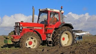 International 1455 XL ploughing  The legend from Neuss  Super sound [upl. by Marron517]