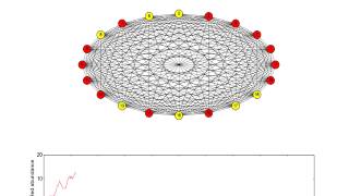 Moran process in a fully connected network [upl. by Ninaj]