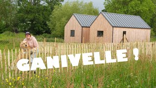 TRANSFORMATION DU JARDIN AVEC LA POSE DUNE GANIVELLE le résultat est magnifique 🤩   EP171 [upl. by Les]