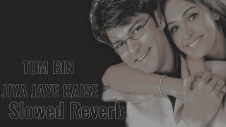 Tum Bin Jiya Jaye Kaise Song Slowed Reverb Tum Bin Nikhil Vinay Priyanshu Chatterjee Chitra [upl. by Yelha899]