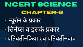 प्रतिवर्तीक्रिया एवं प्रतिवर्तीचाप hrsir [upl. by Anuahc]