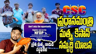 CSC PMMKSSY National Fisheries Digital Platform Registration 2024  CSC Fisheries Certificate [upl. by Enylecoj]