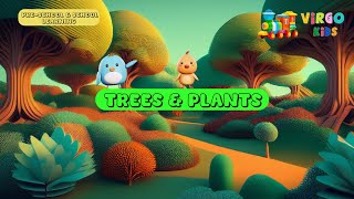 Trees and Plants  Small and Big Trees  Different Kinds of Trees  Children Learning ViRGOKiDS [upl. by Eisac]