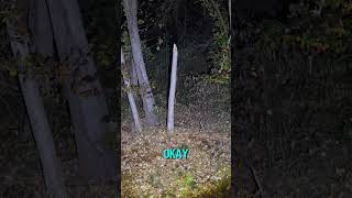 Terrifying Night at Delaware’s Most Haunted Trail New video tonight at 630 pm scary paranormal [upl. by Isador349]