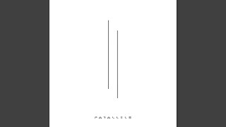 Parallels [upl. by Betti]